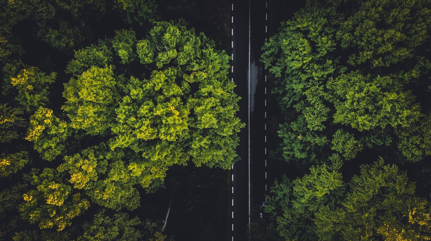La economía circular y su impacto en el medio ambiente